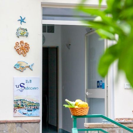 'U Salecaro Bed and Breakfast Agropoli Exteriör bild